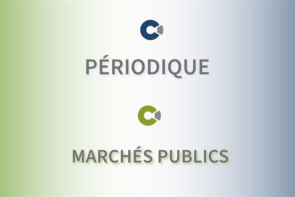 Périodique Marchés Publics #22 : les actualités du mois d'octobre 2024